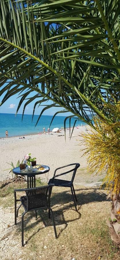 Leon Beach Hotel New Athos Buitenkant foto